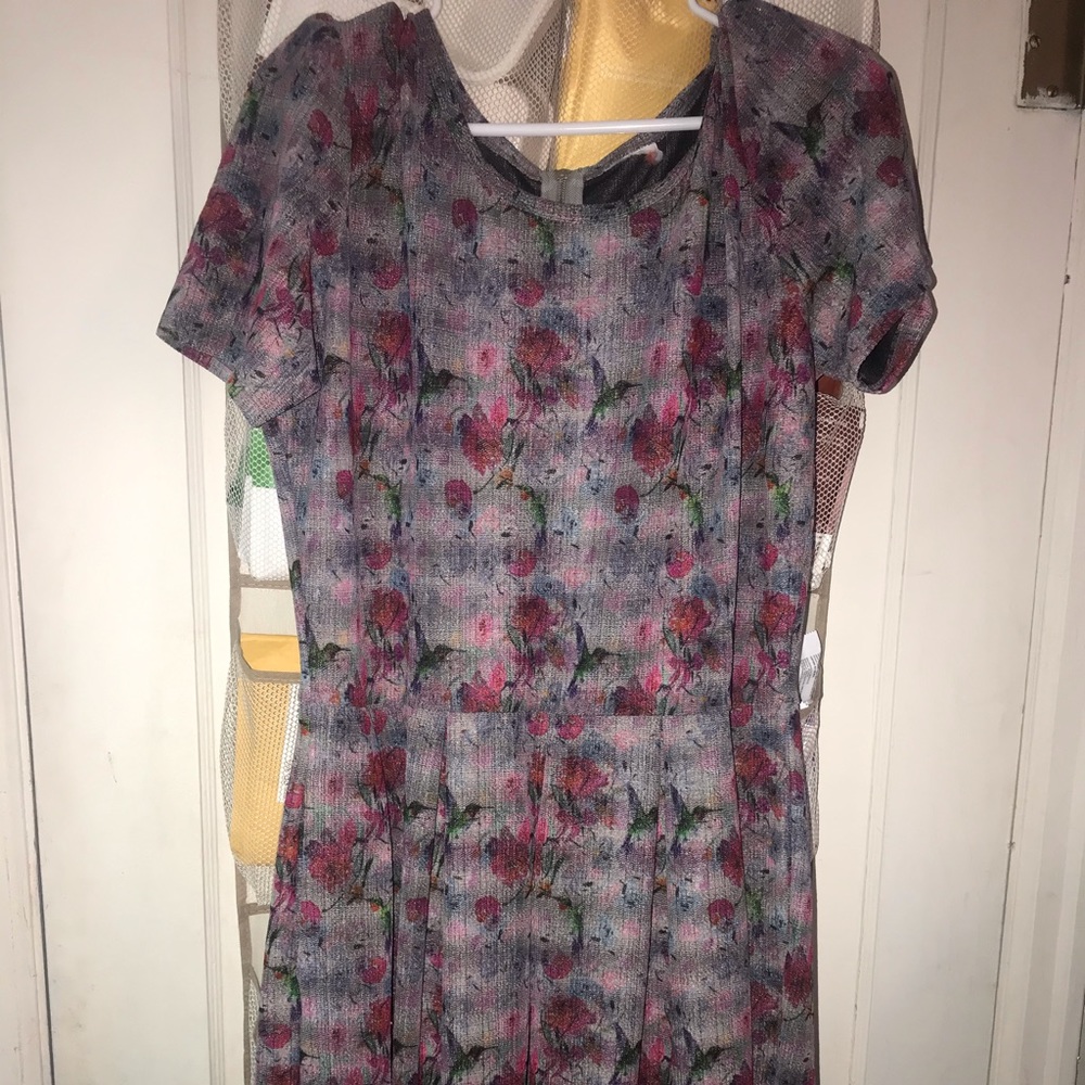 Lularoe Amelia hummingbird dress. Size 3x.